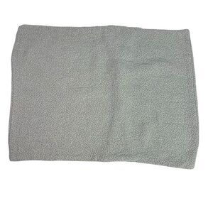 PARACHUTE Cotton Standard Sham Green